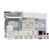 Human IL-33 ELISA Kit