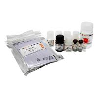 Human Total Mer ELISA Kit