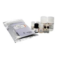 Human MMP-2 ELISA Kit