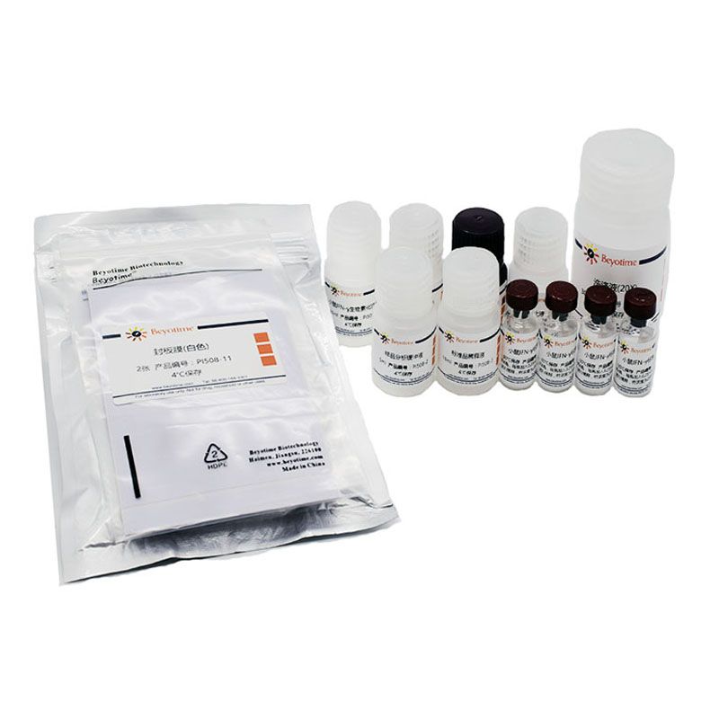Mosue IFN-γ ELISA Kit