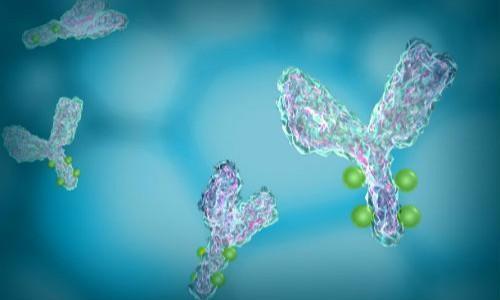 实验科研抗体七折特惠送话费超值来袭！