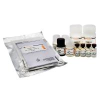 Human VCAM-1 ELISA Kit