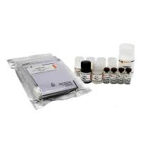 Human MIF ELISA Kit