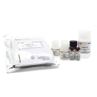 Human PCT ELISA Kit