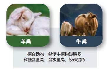 What??明明是同一个粪便,为什么他提取的 DNA的纯度总比我高?