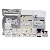 Human ST2/IL-33 R ELISA Kit
