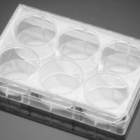 PureCoat纤维连接蛋白肽包被6孔板