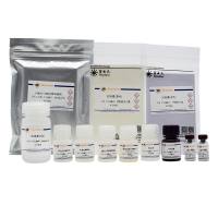 Mouse IL-4 ELISA Kit (High-sensitive)
