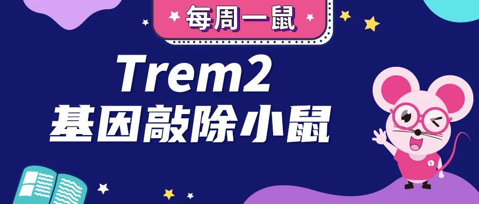 Trem2基因敲除小鼠