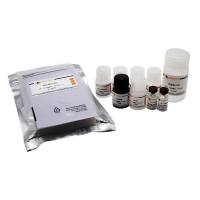 Human IL-13 ELISA Kit