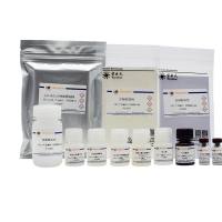 Human IL-18/IL-1F4 ELISA Kit