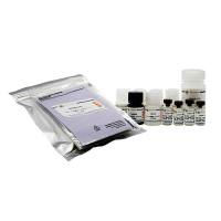 Human total MMP-1 ELISA Kit