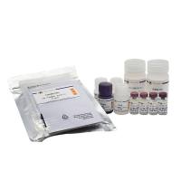 Human sICAM-1 ELISA Kit