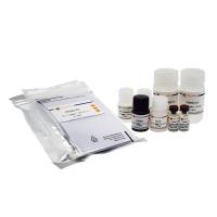 Human MMP-9 ELISA Kit