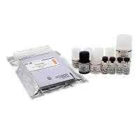 Human SOST/Sclerostin ELISA Kit