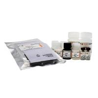 Human IGF-1 ELISA Kit