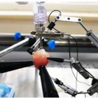 心脏电生理综合评价检测