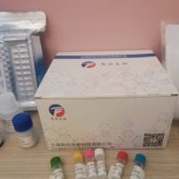 呋喃唑酮快速检测试剂盒