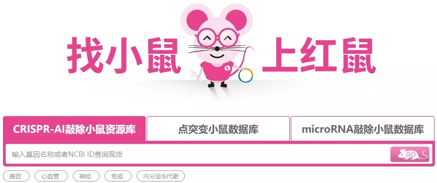 条件性敲除小鼠的原理、构建与应用