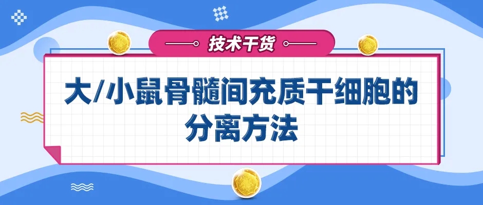 干细胞分离:密度梯度离心法、免疫磁珠分选法和流式细胞仪分离法
