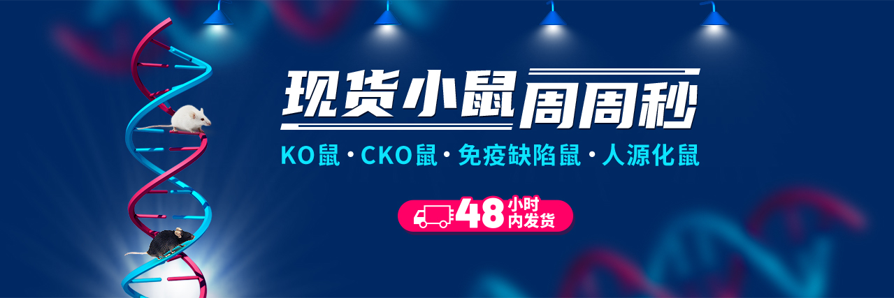 条件性敲除小鼠的原理、构建与应用