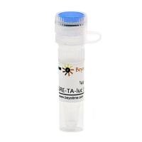 pISRE-TA-luc (报告基因质粒)