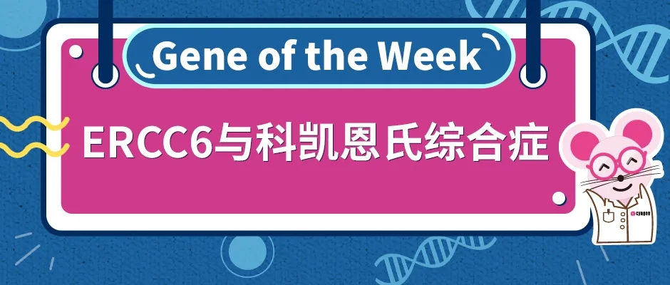 罕见的儿童早衰症—科凯恩氏综合症与ERCC6基因