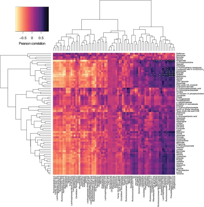 返老还童新选择,从小鼠粪便移植实验看到的趋势