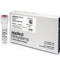 4371353 ABI 原装基因分型预混液经销商现货