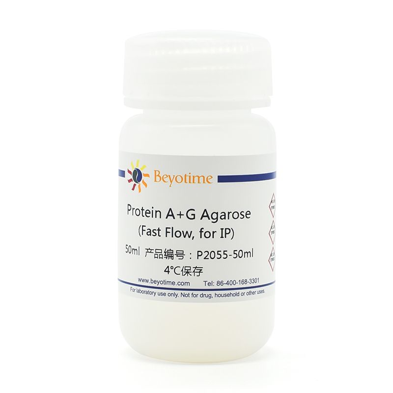 Protein A+G Agarose (Fast Flow, for IP)