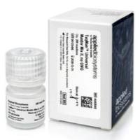 4444965  热电ABI 进口报价TaqMan Fast Advanced 预混液