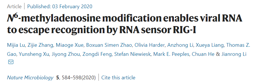 RNA m6A修饰与免疫——病毒的m6A修饰，助其逃逸宿主先天免疫识别