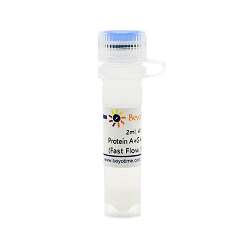 Protein A+G Agarose (Fast Flow, for IP)