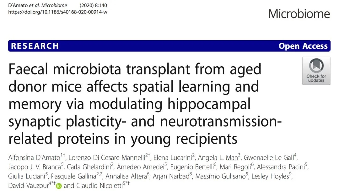 返老还童新选择，从小鼠粪便移植实验看到的趋势