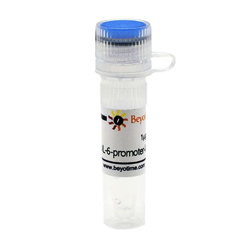 pIL-6-promoter-luc (报告基因质粒)