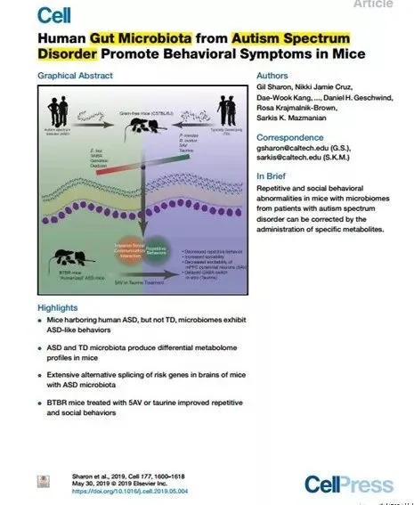 返老还童新选择,从小鼠粪便移植实验看到的趋势