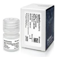 4369016 赛默飞ABI TaqMan 基因表达预混液厂家现货