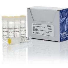 A28522 热电 ABI 现货供应TaqPath 1步法多重预混液(无 ROX)报价