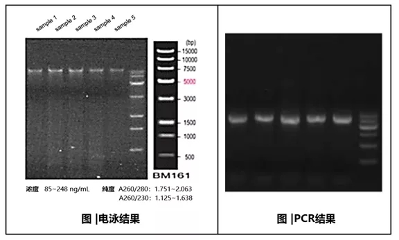 “你”，是越过高原沙漠留下的痕迹，是穿过江河湖海烙下的文明