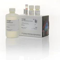 Q32854 赛默飞Qubit dsDNA HS（高灵敏度）检测试剂盒代理商