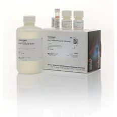 Q32853 美国热电 代理Qubit dsDNA BR 检测试剂盒现货报价