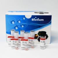 NERVE TERMINAL STAINING KIT II (COMPONEN 70031-1