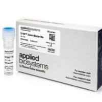 4472903 热电ABI SYBR® Select 预混液经销商特惠