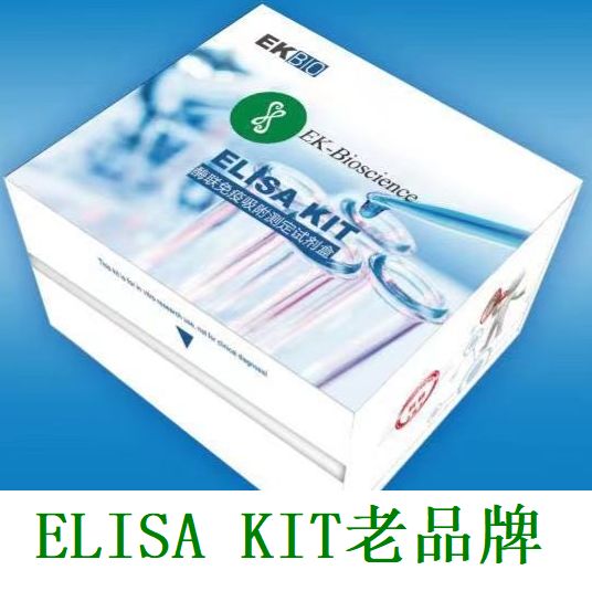 小鼠过氧化氢酶(CAT)ELISA 试剂盒/小鼠过氧化氢酶(CAT)ELISA 试剂盒
