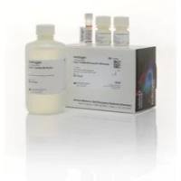 Q32855 美国热电原装报价Qubit RNA HS 检测试剂盒