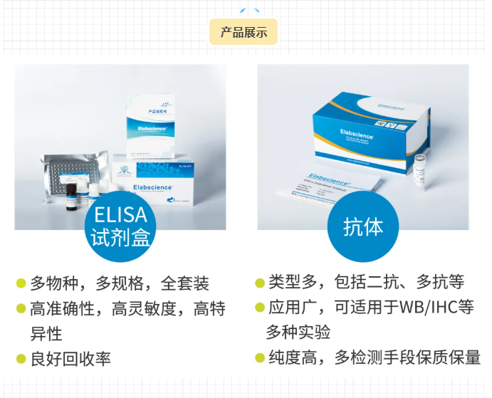 开学福利 | 100%中奖，一等奖送iPad