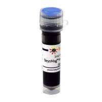 BeyoMag™ Anti-His Magnetic Beads (Anti-His磁珠)