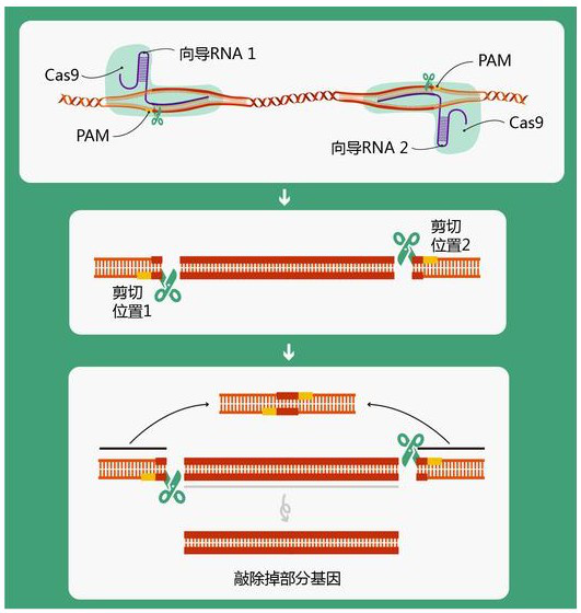 产品细节图片2