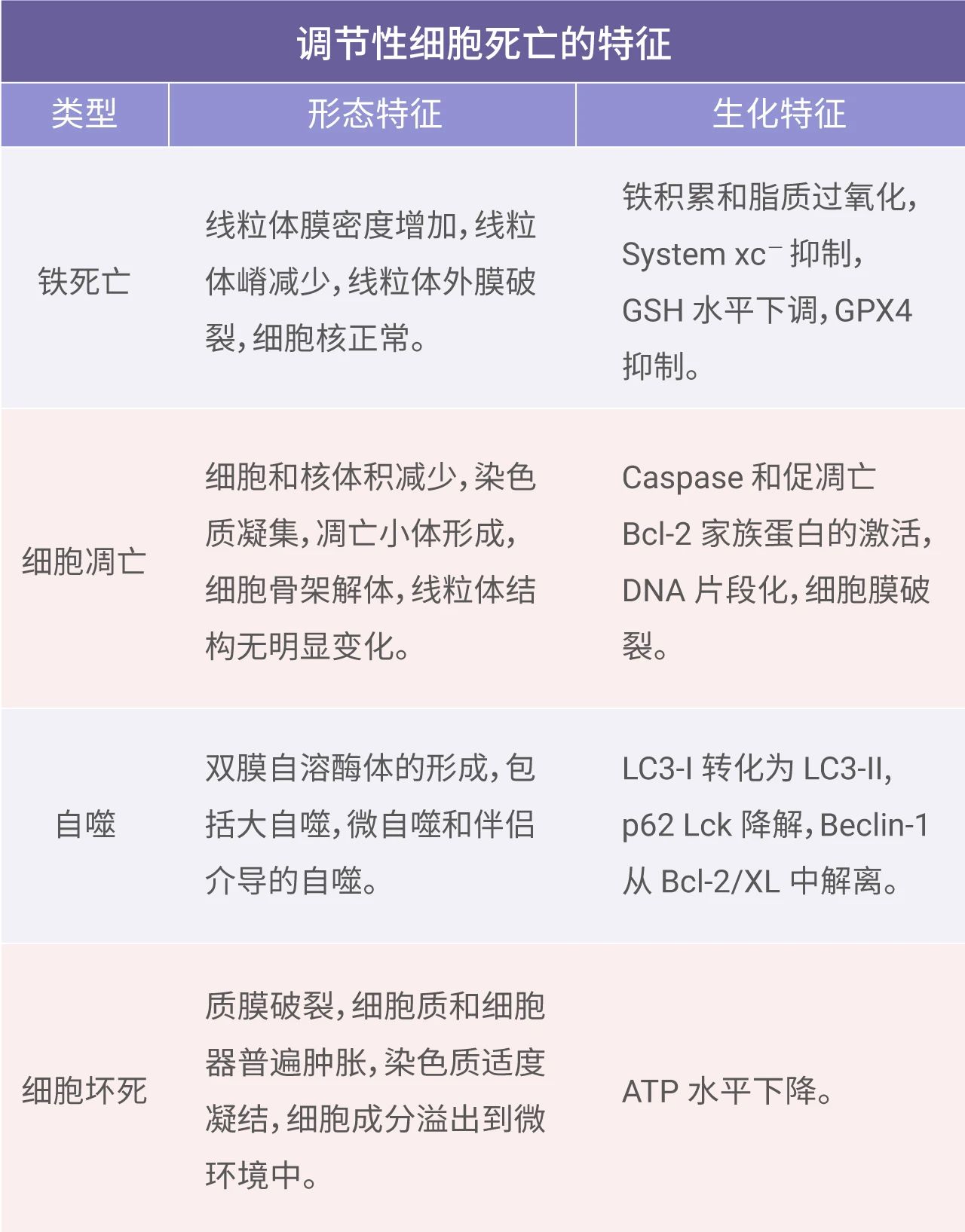 MCE | 铁死亡——调节性细胞死亡-企业动态-丁香通