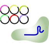 CRISPR 激活/抑制系统定制服务